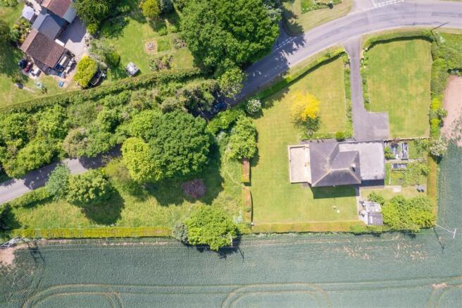 DJI_0082.jpg