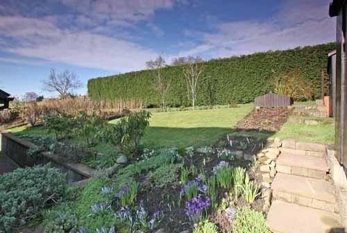 Rear garden