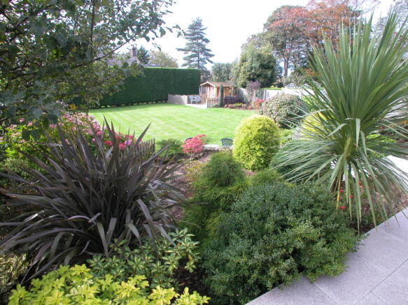 Garden 4