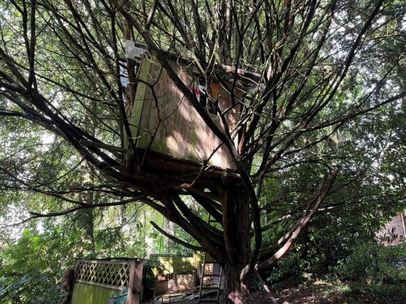 Tree House