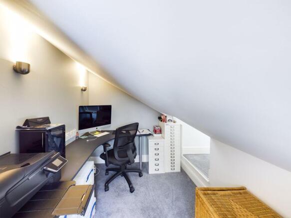 Study Area