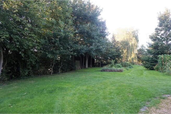 Unnamed photo