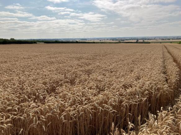 Arable Land To Let