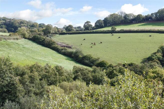 Field On Left