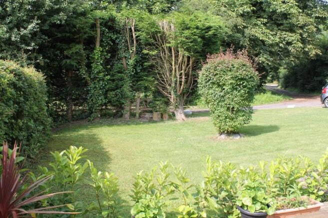 Photo 12