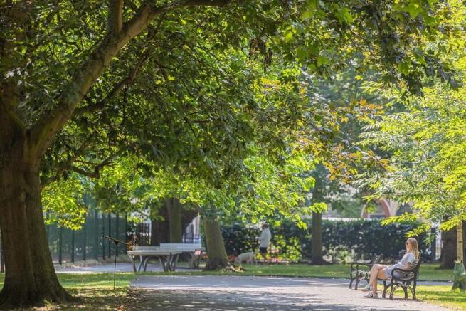 Exchange Gardens,
London,
SW8 1DF photo 4