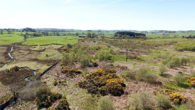 Land & Woodland