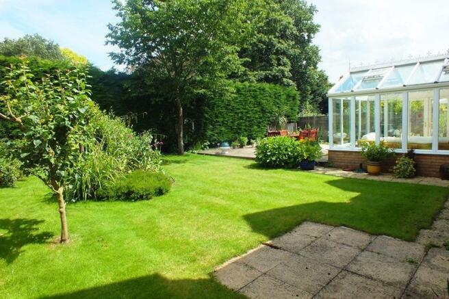 Garden 1.JPG