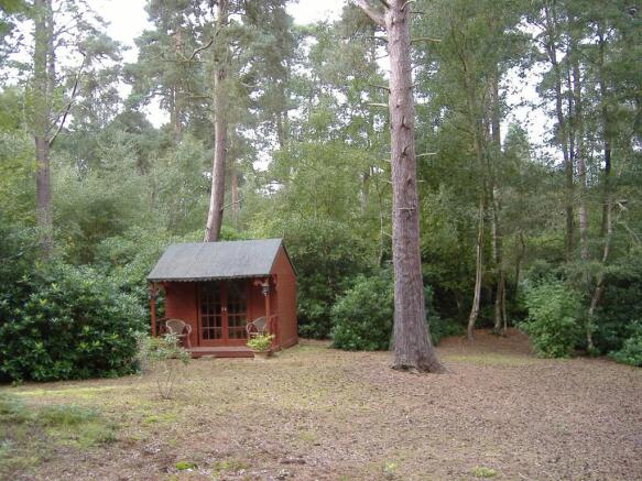 Photo 7