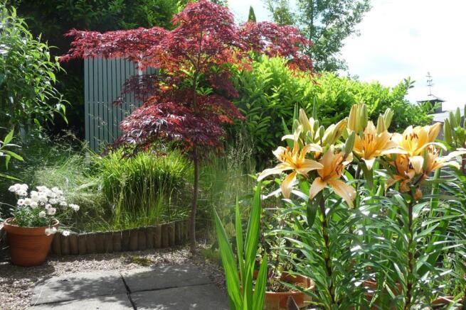 garden