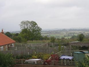 Picture No.29