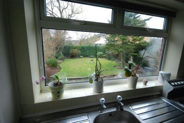 Outlook from Kitchen