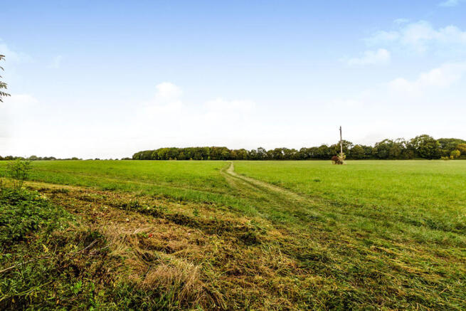Adjacent Fields