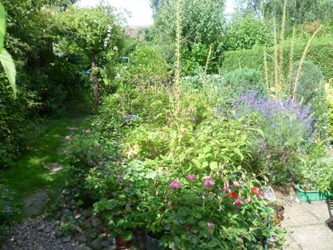 Photo 16