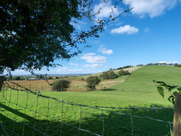 View From The Garden