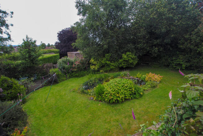 Pond_edited