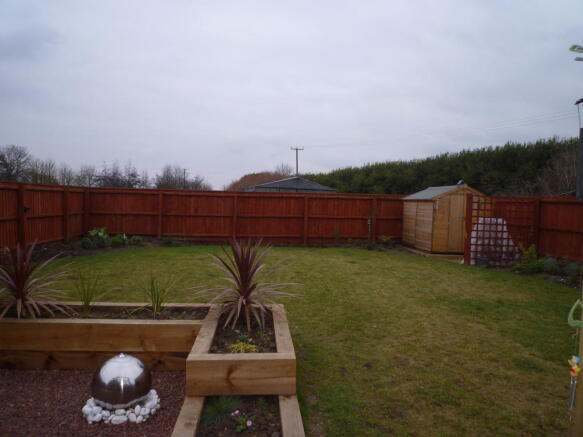 Photo 24