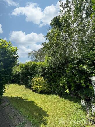Summer Garden