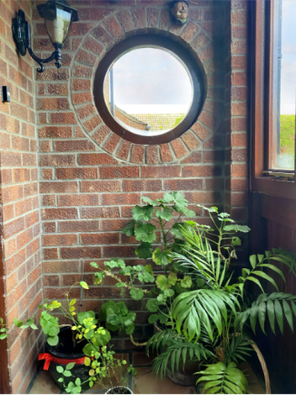 Porthole Window