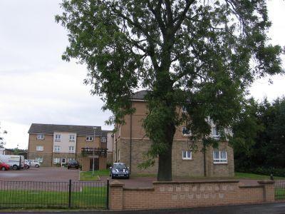 External