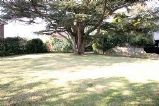 Garden 1
