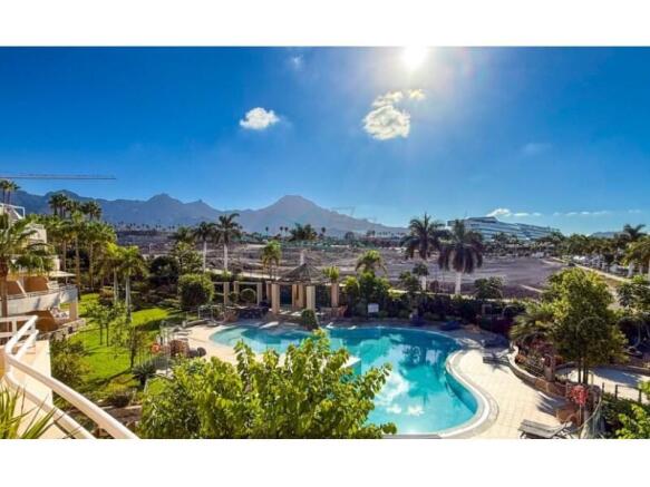 Oasis pool area