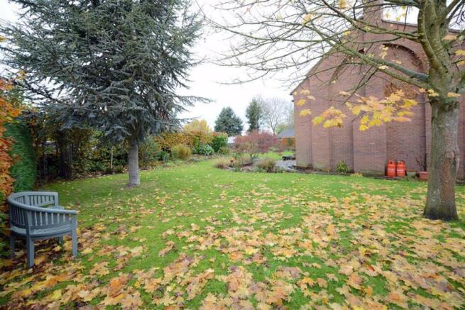 Photo 14