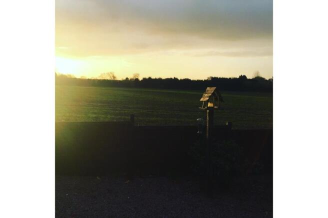 Unnamed photo