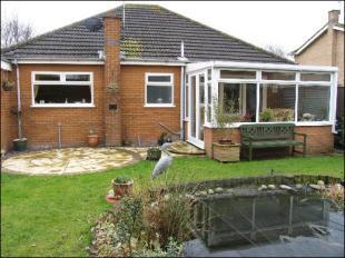 Rear Aspect