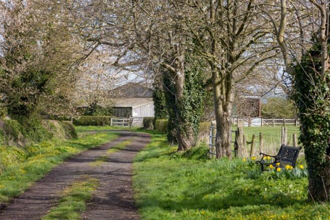 Driveway