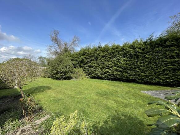 garden (2)