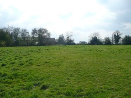 Front Field