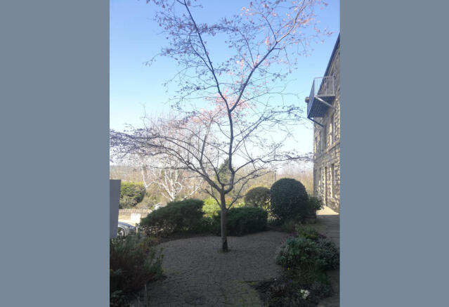 COMMUNAL GARDENS