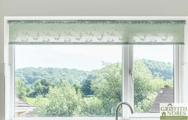 Kitchen Window View