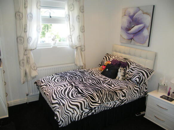 Photo 10