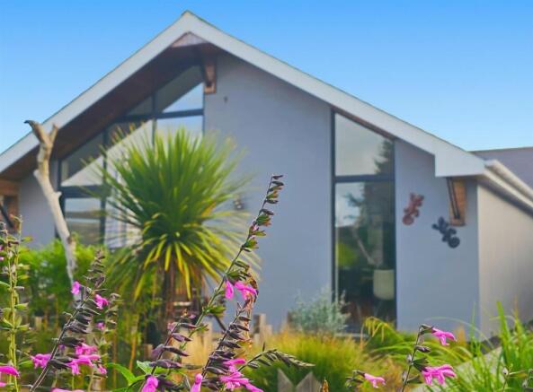 edited front shot.jpg