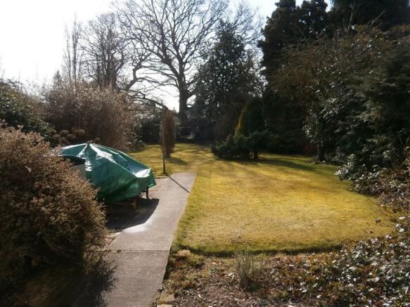 Photo 12