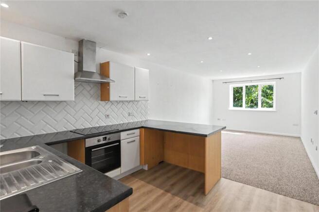 Kitchen/Living Room