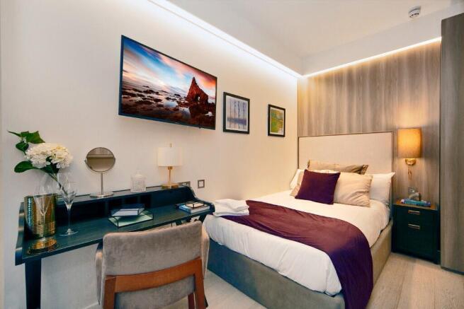 Single Suite