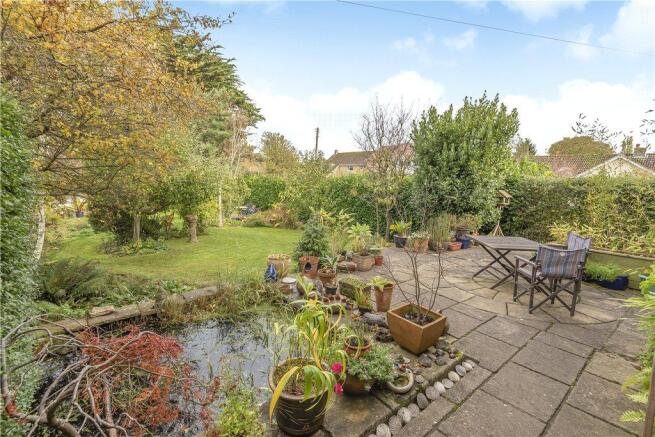 Patio and Pond
