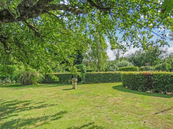Garden 11.JPG