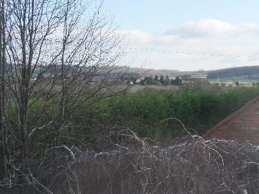 Country View.