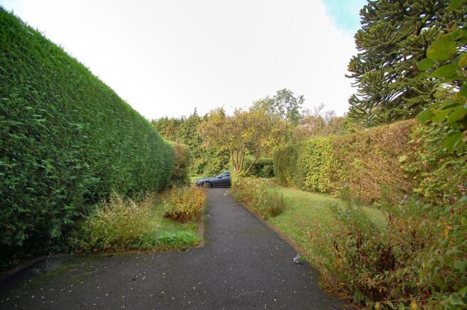 Driveway