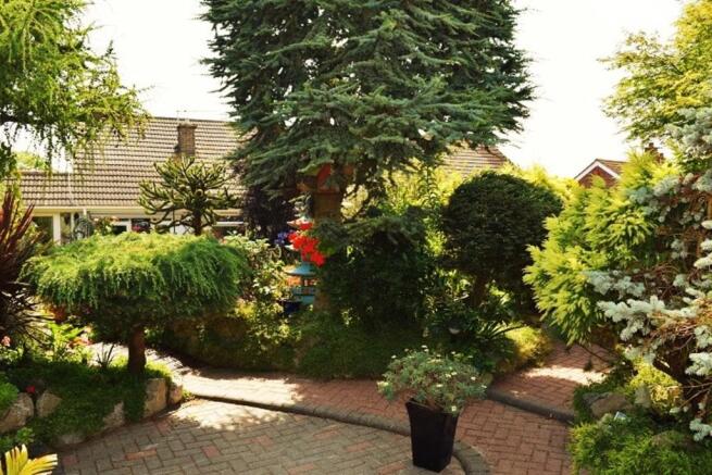 Photo 15