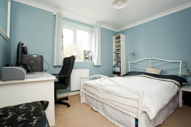 Photo 15