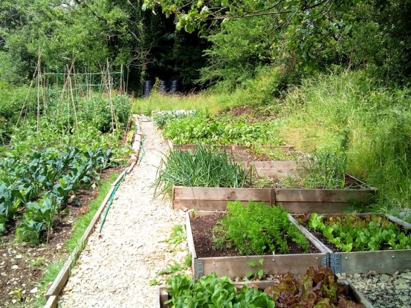 Veg Garden