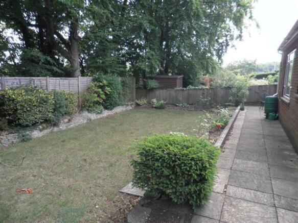 Photo 8