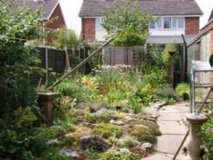 garden