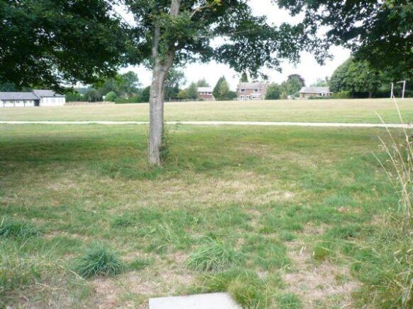 Playing Field