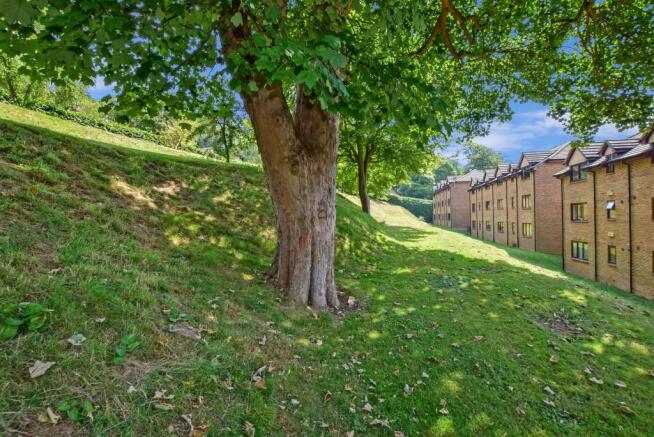 Communal Gardens